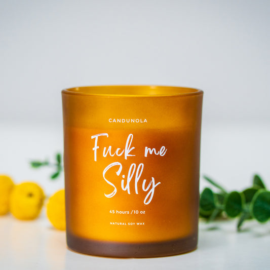Fuck Me Silly